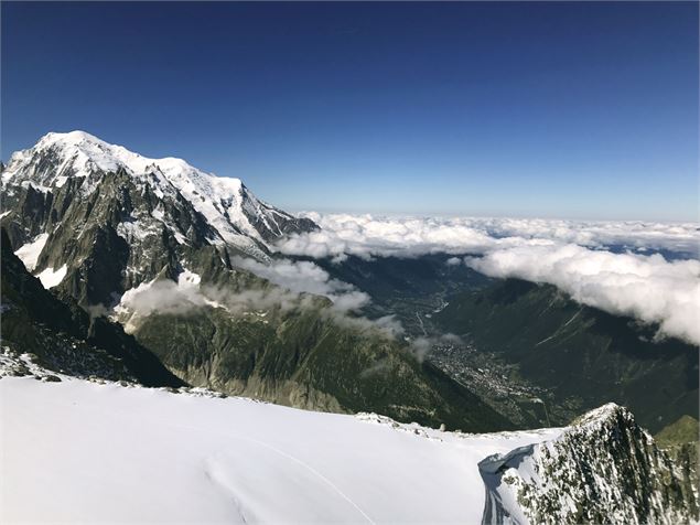 Vue depuis le sommet Grands Montets - OTVCMB