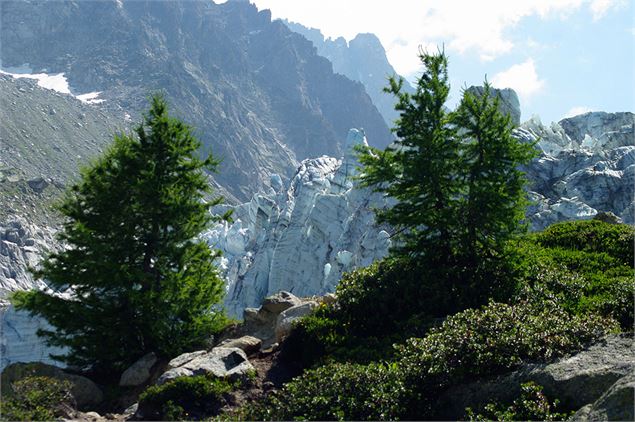 Glacier d'Argentière - OTVCMB