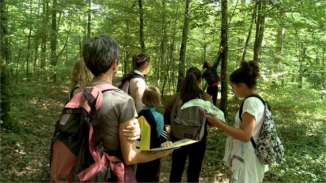 quel est cet arbre_©pas sages d images - foret-seillon_credit GT OTBBA (35)