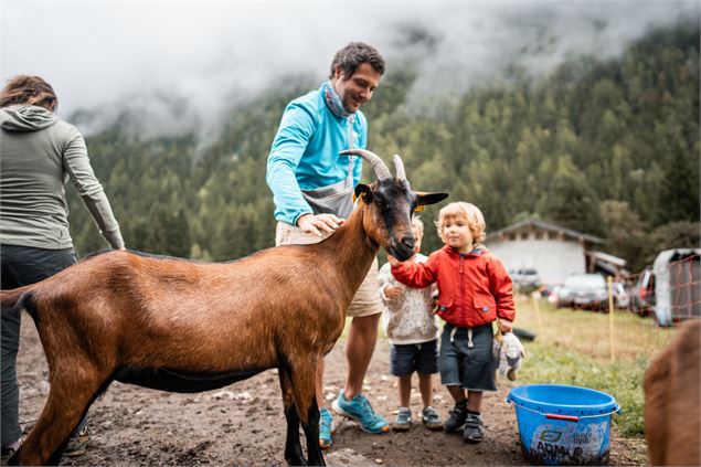 Mont-Blanc Fermes Péda_Chamonix-Mont-Blanc - Olivier Lefebvre