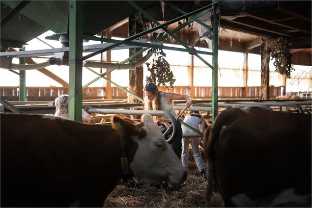Mont-Blanc Fermes Péda_Chamonix-Mont-Blanc - Olivier Lefebvre