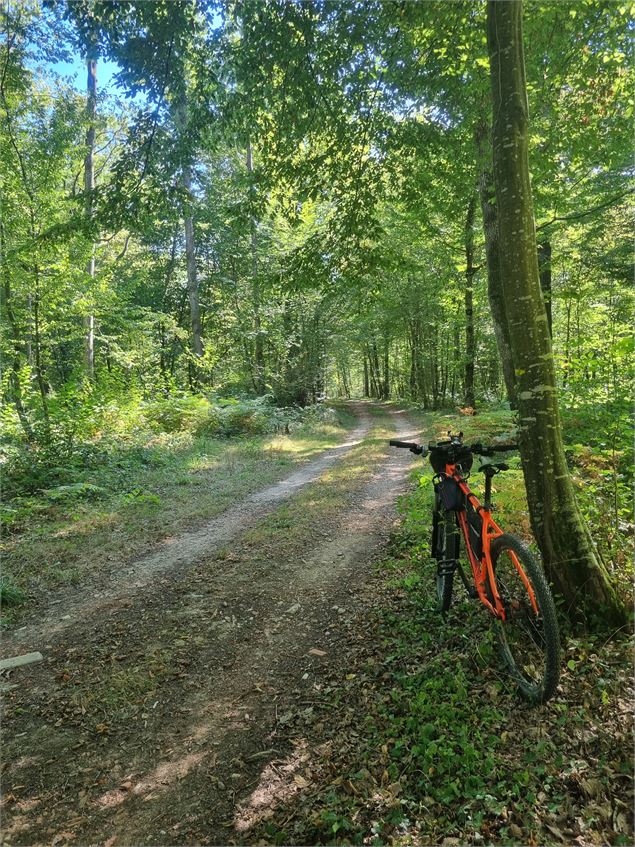 VTT-VTC en Bresse - scalland