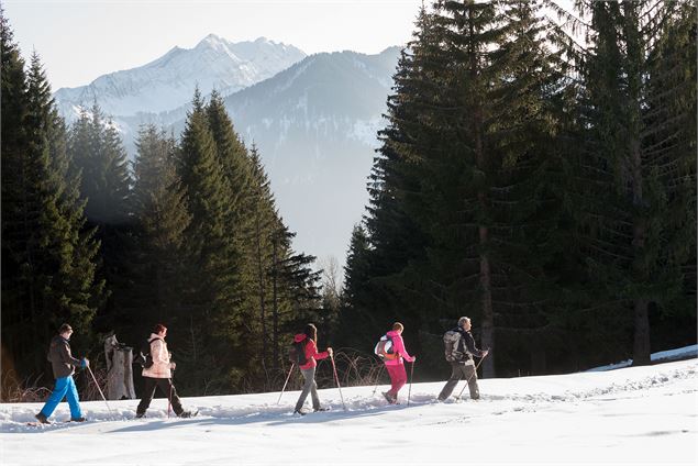 Vue imprenable sur les sommets environnants - Yvan Tisseyre/OT Vallée d'Aulps