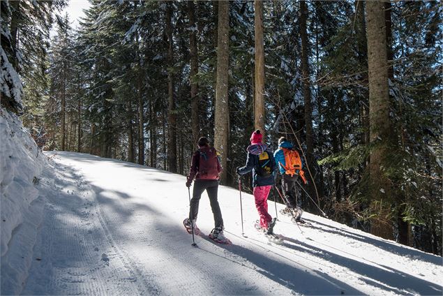 Entre forêt et alpage - Yvan Tisseyre/OT Vallée d'Aulps