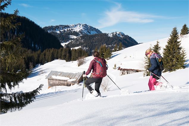 Entre forêt et alpage - Yvan Tisseyre/OT Vallée d'Aulps