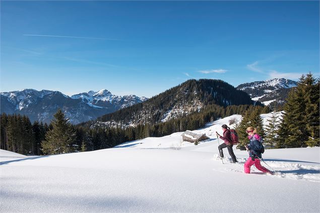 Vue sur le Mont-Billat - Yvan Tisseyre/OT Vallée d'Aulps