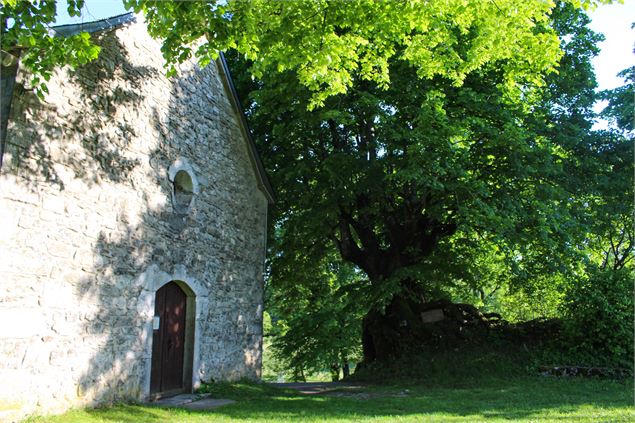 Eglise et tilleul de Sully à Ordonnaz - Marilou Perino / Plaine de l'Ain Tourisme