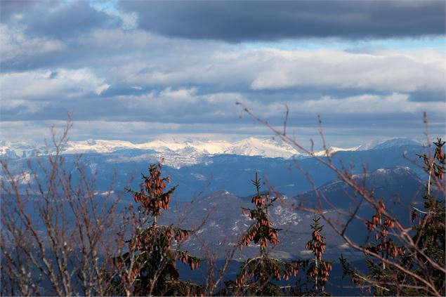 Vue sur le Mont-Blanc depuis la randonnée des crêtes - Marilou Perino / Plaine de l'Ain Tourisme