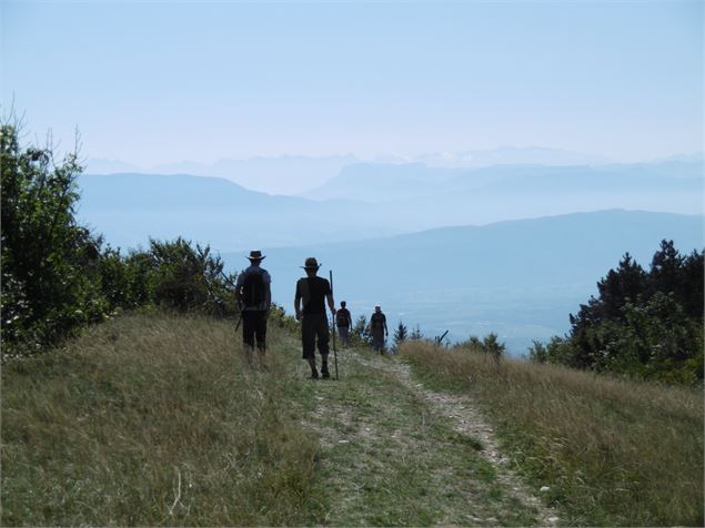 Circuit des crêtes - Marilou Perino / Plaine de l'Ain Tourisme