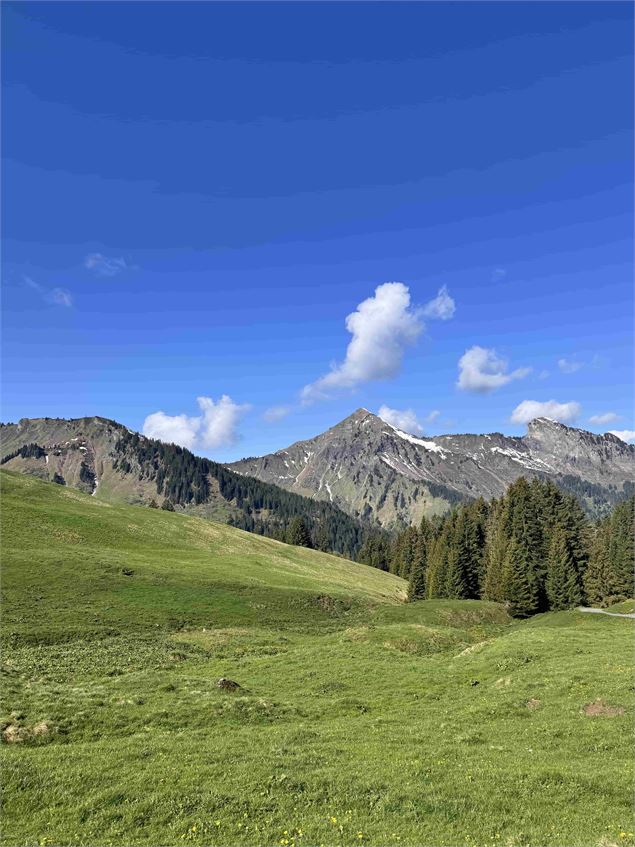 Col de cou depuis le lac des Mines d'Or_Morzine