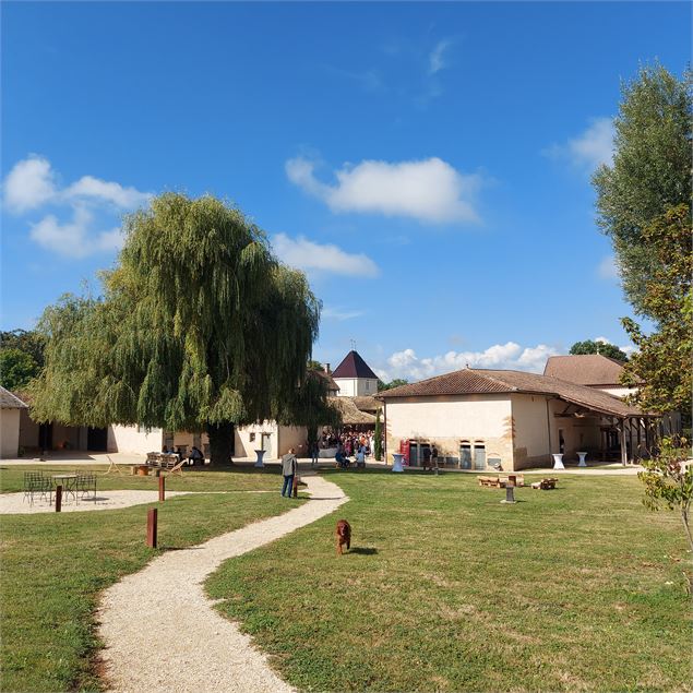 Domaine d'Amareins_Francheleins - Domaine d'Amareins