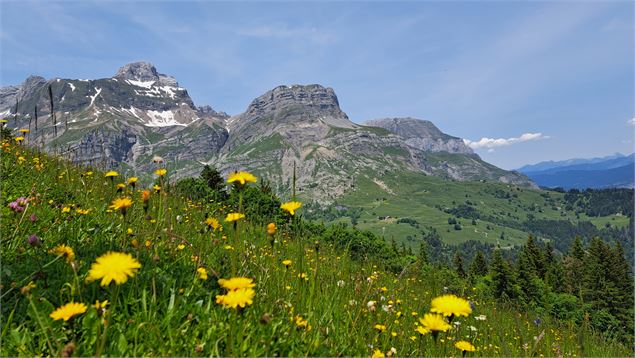 Vue des Aravis, des Quatre Têtes - © Cordon Tourisme