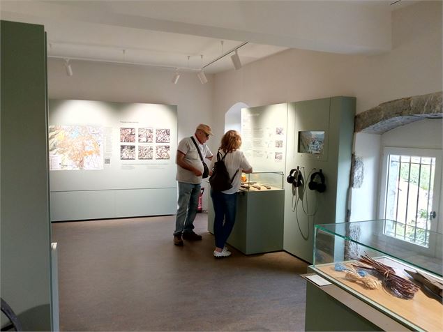 Musée de la vigne et du vin de Savoie - Montmélian - Musée de la vigne et du vin de Savoie