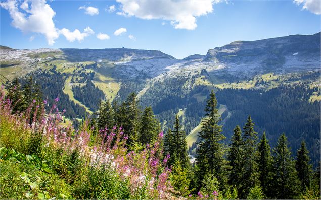 La vue depuis l'aire de pique-nique - OT Flaine-Candice Genard