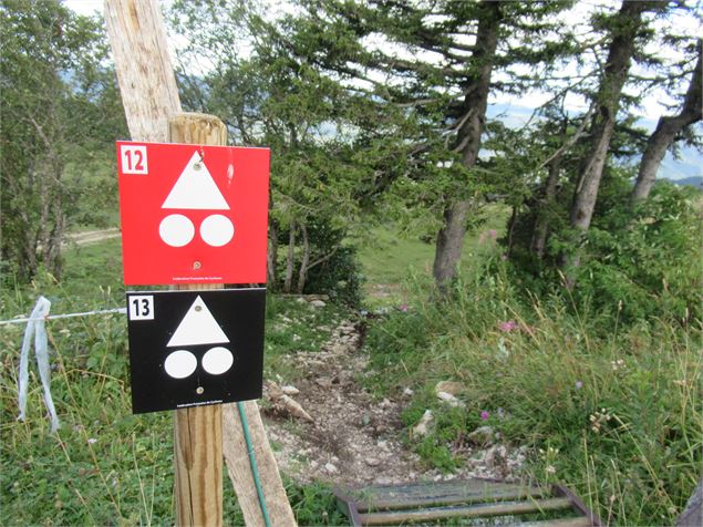 Balisage VTT - Thomas Baillard