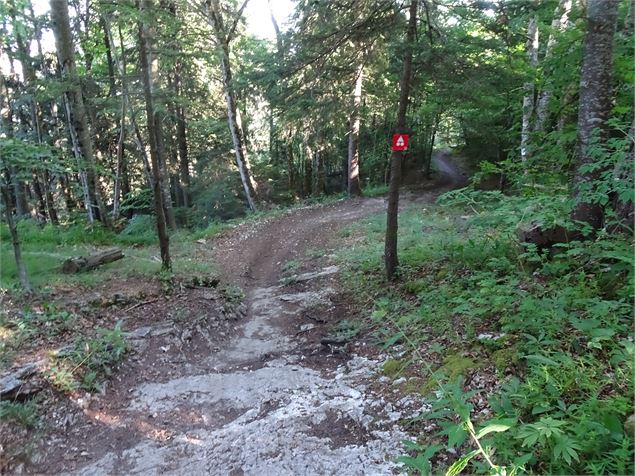 Piste de VTT - Thomas Balliard