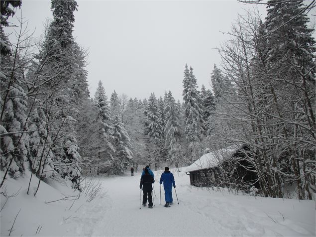 Raquettistes - ©Nicodème Peillon / Pays de Gex Agglo