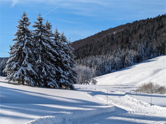 Piste de ski - ©Chantalbenoitgonin