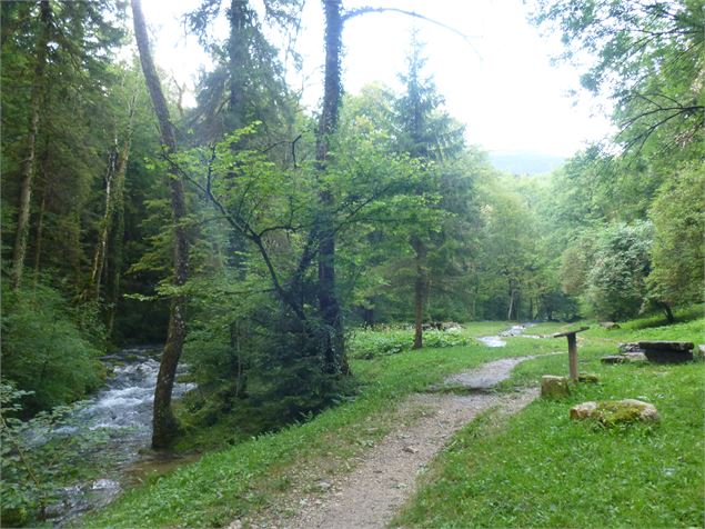 Sources de l'Allondon - ©AM. Barbe