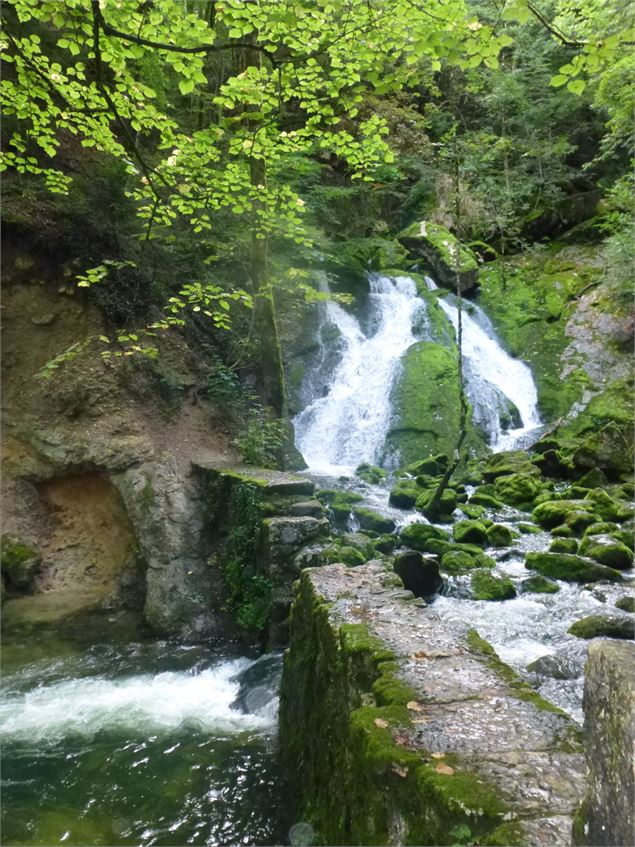 Sources de l'Allondon - OTPGF