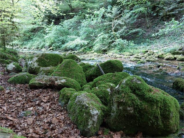 Promenade des sources de l'Allondon - OTPGF