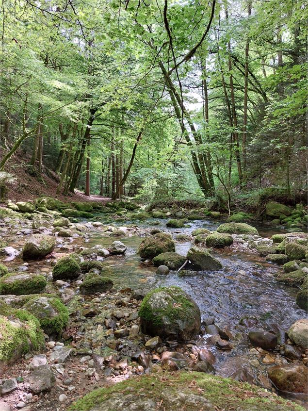 Promenade des sources de l'Allondon - OTPGF