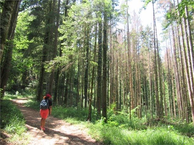 Chemin de randonnée - ©ThomasBalliard