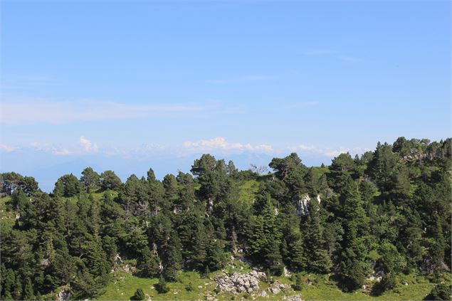 Avec vue Mont Blanc - ©AMbarbe