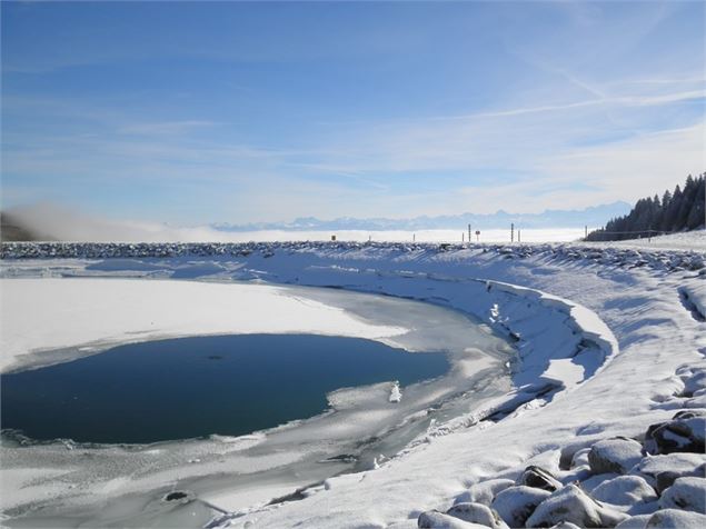 Lac - Anne-Marie Barbe
