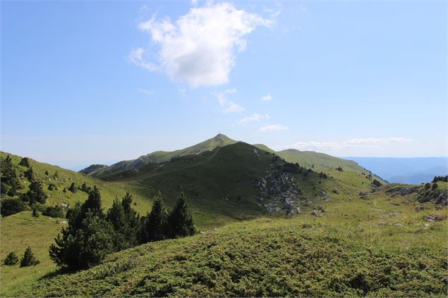 Vue sur le Reculet - Anne-Marie Barbe