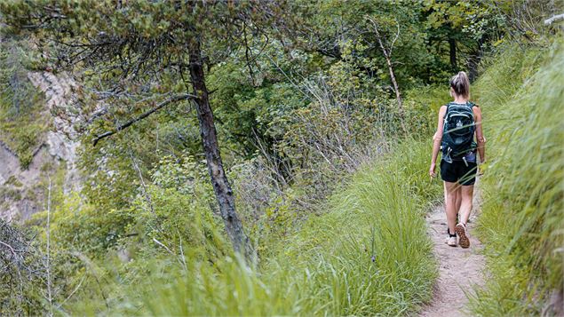 Sentier d'accès à la passerelle - Art Prism