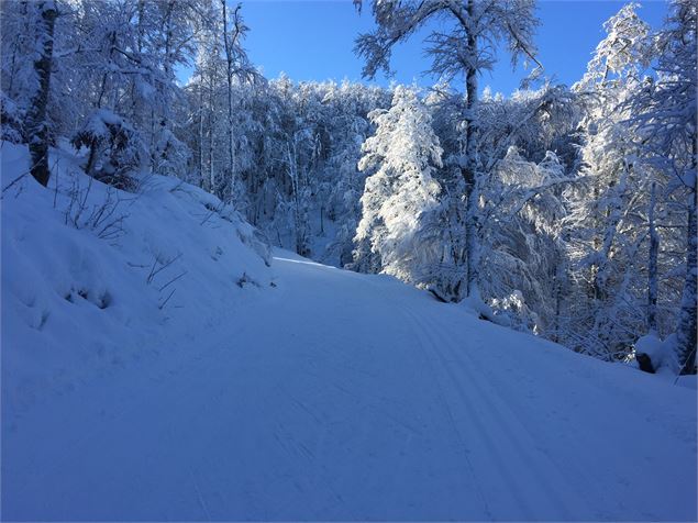 Montée en ski de fond en direction des Solives sur le Plateau de Retord - © Maxime Ballet