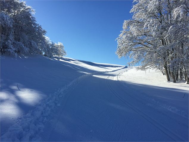 Montée en ski de fond vers la Platière sur le Plateau de Retord - © Maxime Ballet