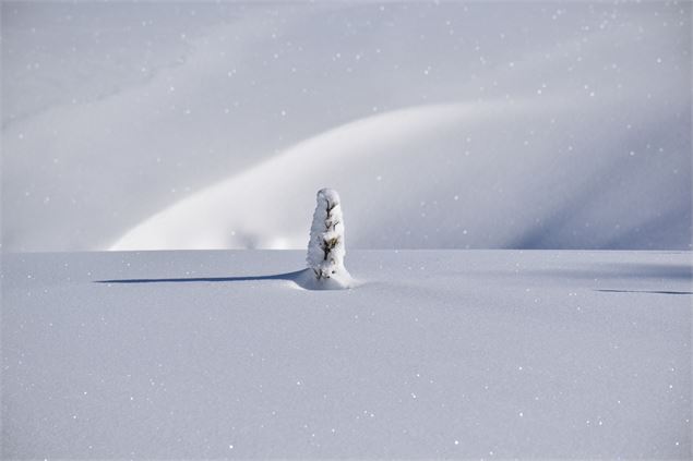 Plateau de Retord - © Maxime Ballet