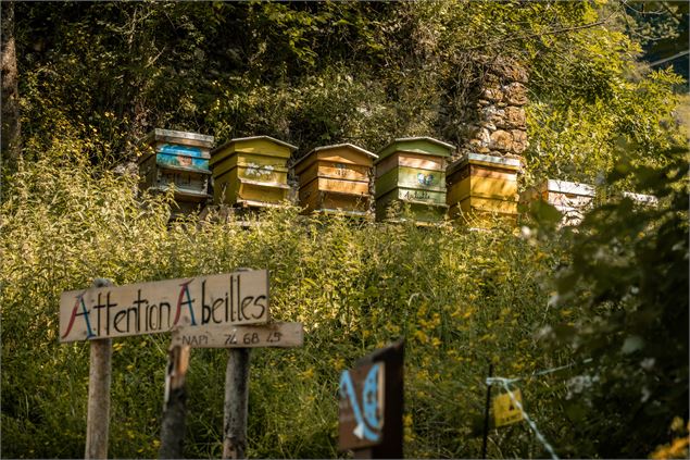 L'abbaye Sainte-Marie d'Aulps_Saint-Jean-d'Aulps - Lucie Tanguy / Vallée d'Aulps Tourisme