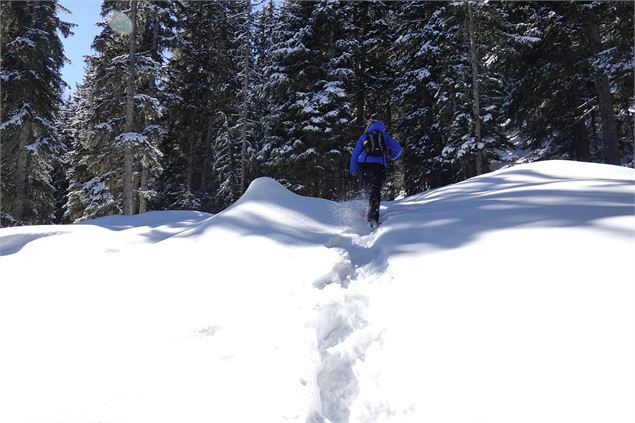 La Grange à Tienne Oeudan - Verbier Tourisme