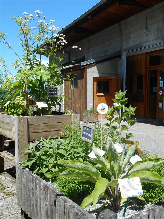  - Musée de la nature