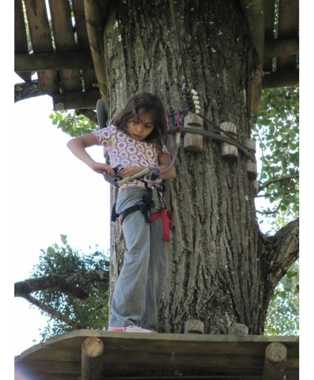 Forestland Parc de Loisirs - Forestland