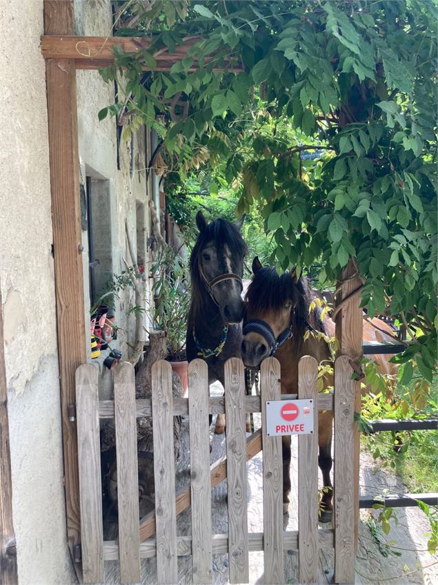  - Écuries des Pious Bloye