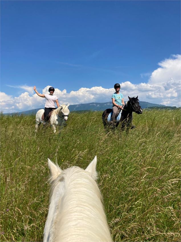  - Écuries des Pious Bloye