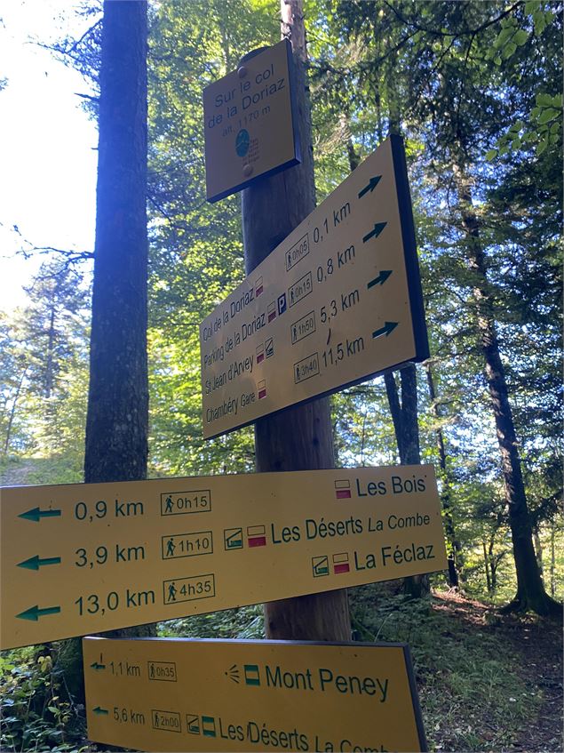 Le mont Peney depuis le parking de la Doria_Les Déserts - B. Panczuk