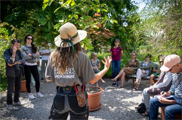 Musées de Genève_Genève - @ Ville de Genève