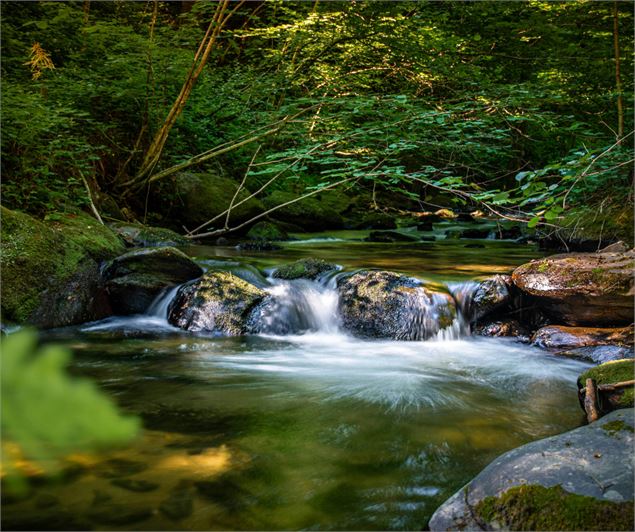 Parcours pêche Le Foron du Reposoir_Le Reposoir - CANVA