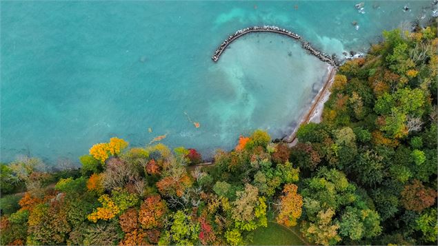 Vue Drone du domaine de rovorée en automne - Destination Léman - A.Berger