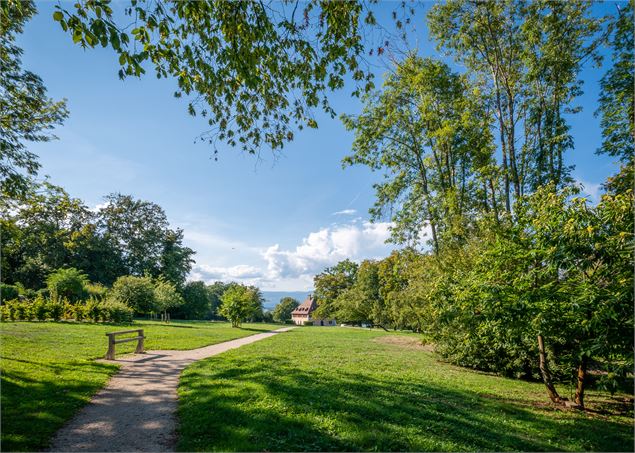 Chemins et La Chataignière en fond - Destination Léman - A.Berger