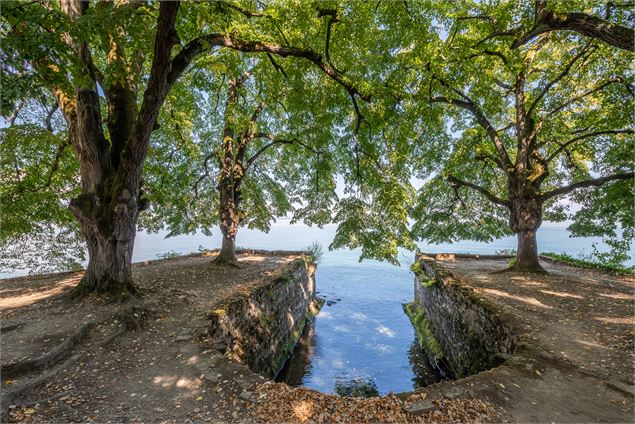 Ancien port - Destination Léman - A.Berger