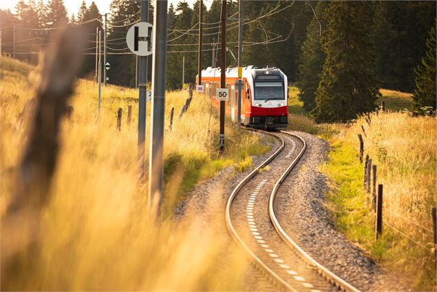 Chemin de fer Nyon – St-Cergue – Morez (NStCM)_Nyon - G.Michel
