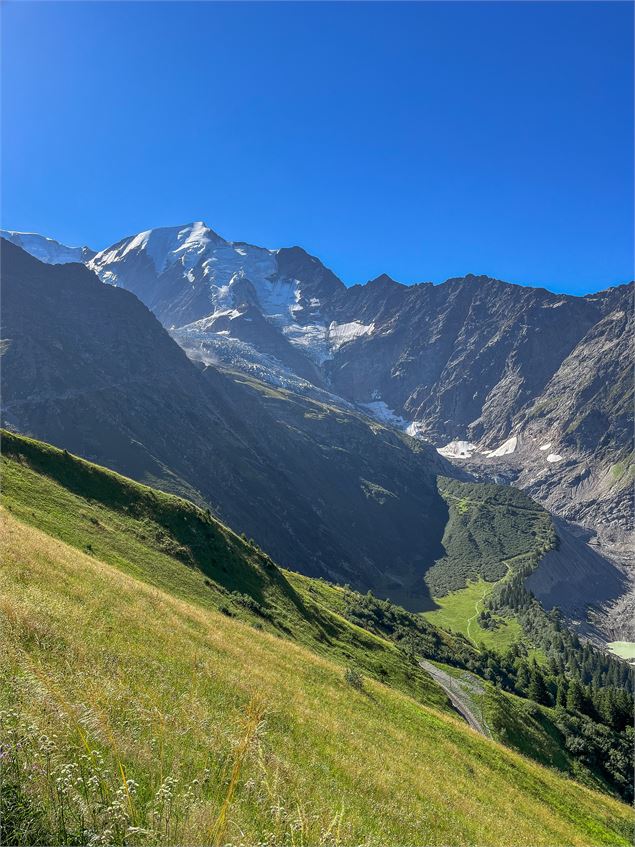 L'Aguille de Bionnassay vue depuis le Mont Lachat