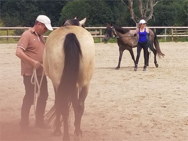 Ethologie à pieds - de3m