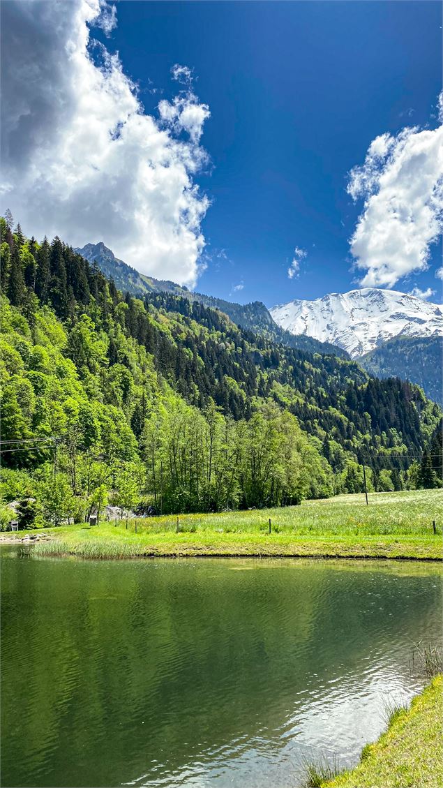 Lac de pêche du Vivier